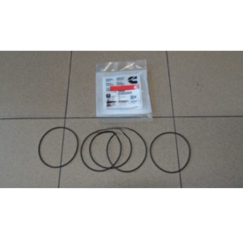 O-RING NSN: 5331-01-553-7040